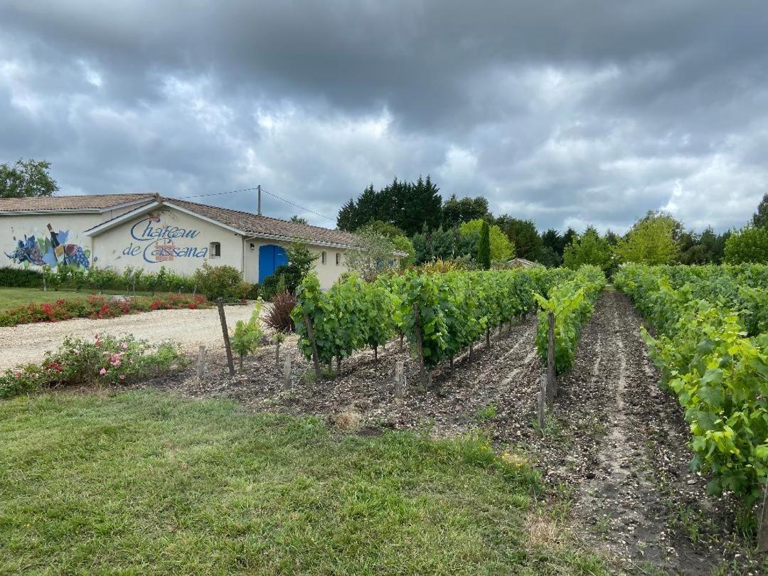 Вилла Domaine Du Cassana Saint-Sauveur  Экстерьер фото